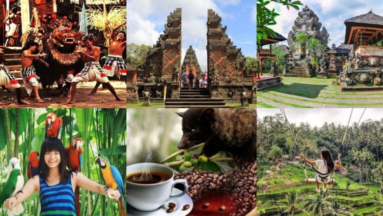 Ubud Tour