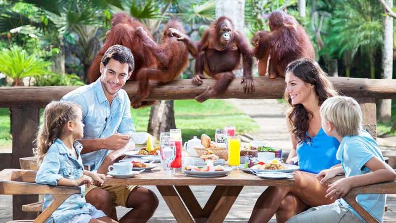 breakfast-with-orangutan